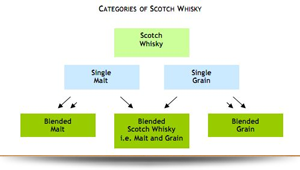 Types of Scotch Whisky: Single malt whisky, single grain whisky, blended malt whisky, blended scotch whisky such as malt and grain and blended grain whisky explained in a diagram